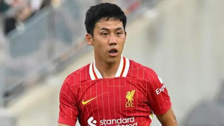 Liverpool Reject Marseille's £11.8m Bid for Wataru Endo